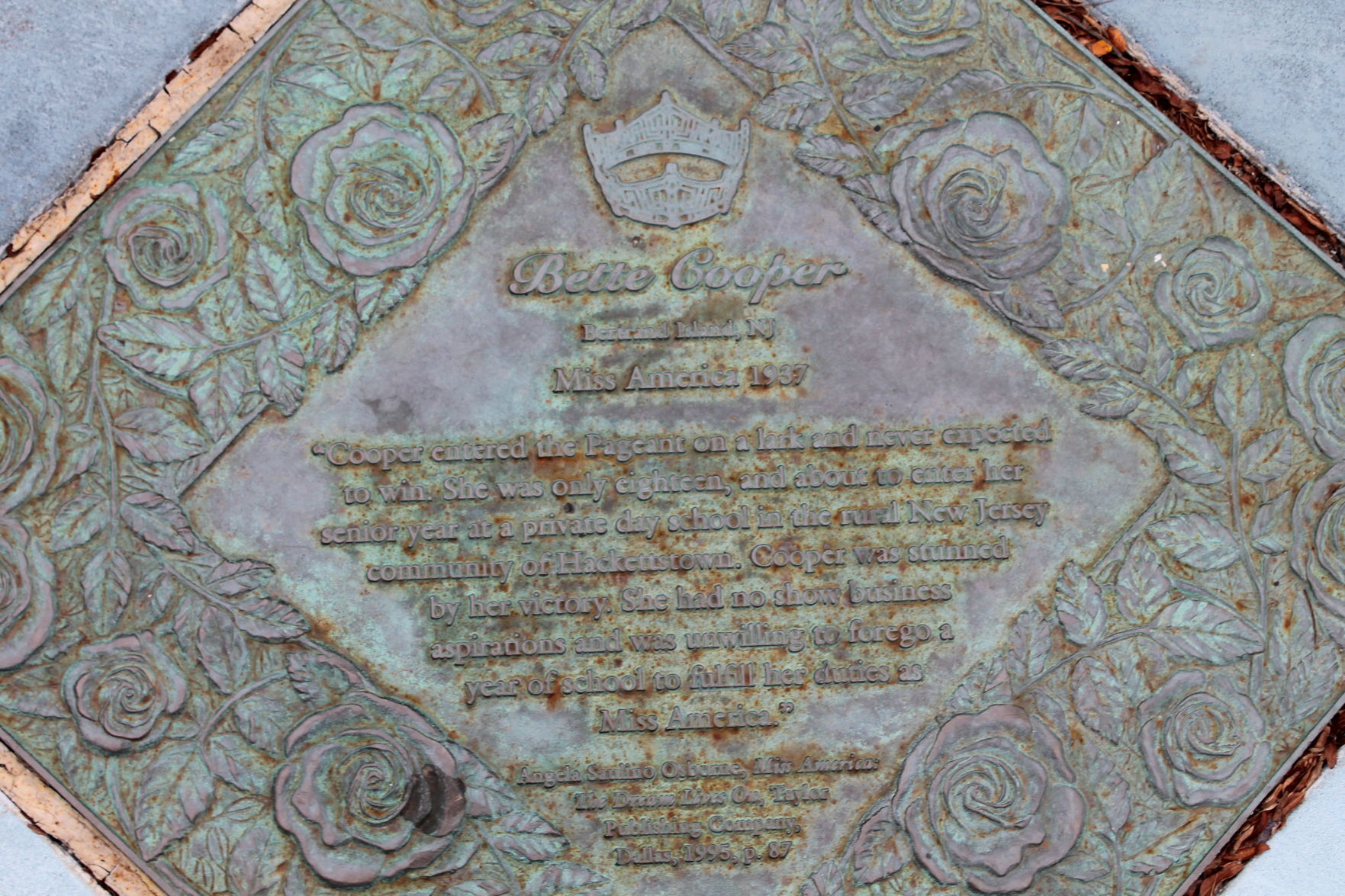 rosewalk (7)